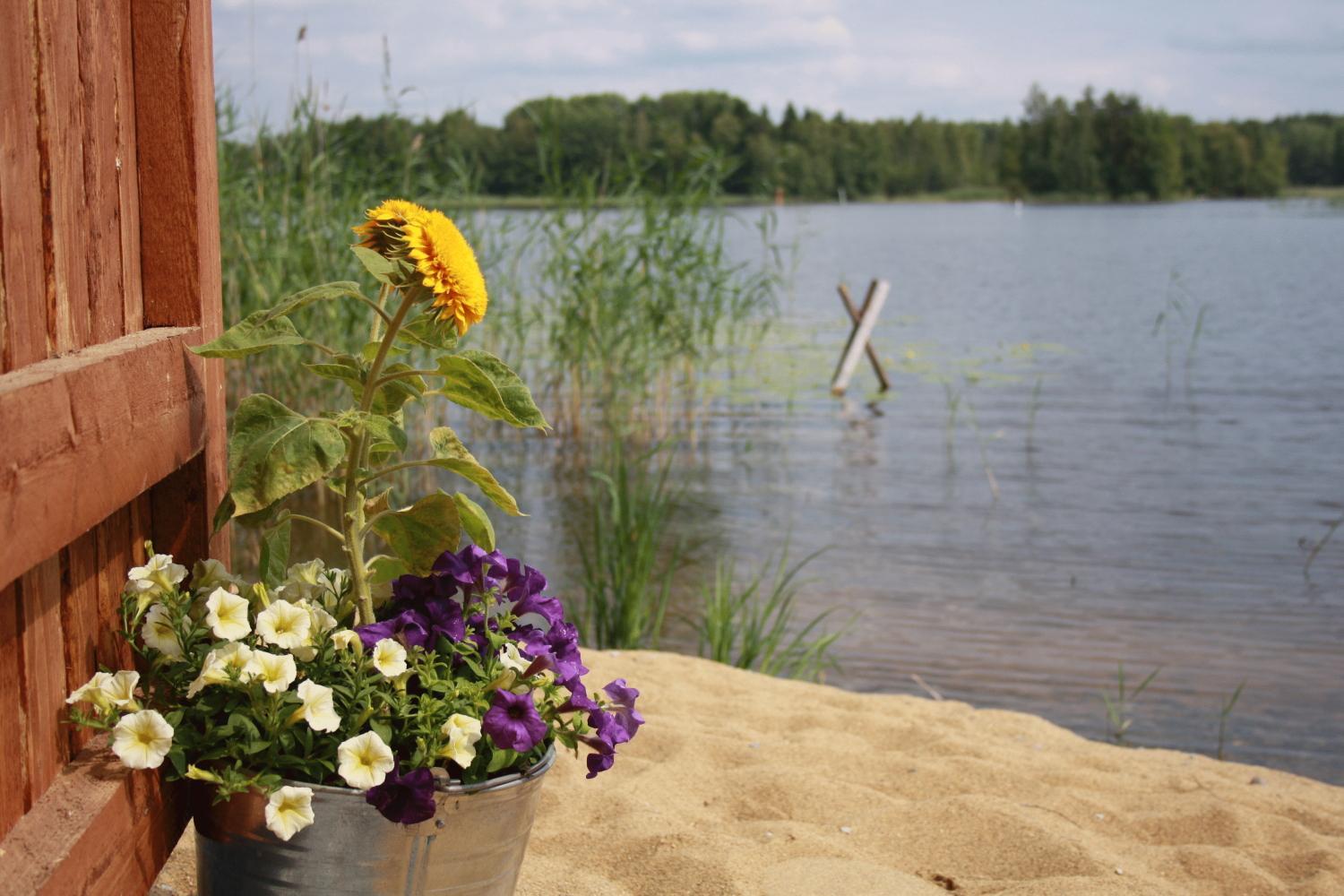 Kyyhkylae Hotel And Manor Mikkeli Exterior photo